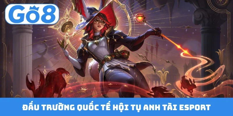 dau truong quoc te hoi tu anh tai esport Đấu trường quốc tế hội tụ anh tài Esport